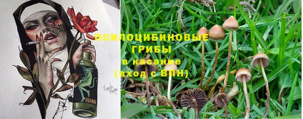 прущая мука Михайлов