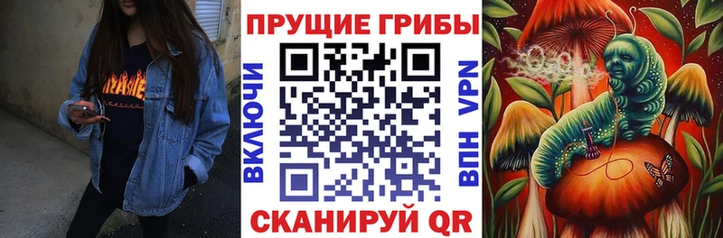 Галлюциногенные грибы Psilocybe  наркотики  Галич 