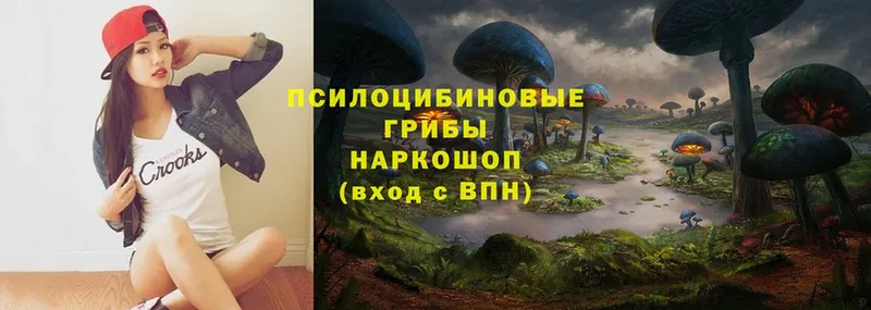 Псилоцибиновые грибы Psilocybe  наркошоп  Галич 